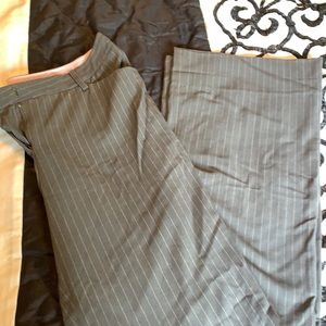 Women’s Star City Dress Pants